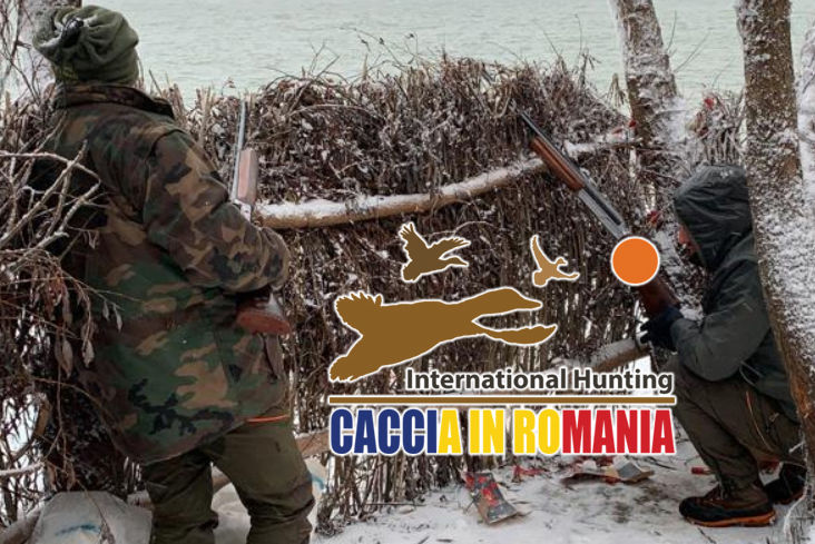 international hunting caccia al cinghiale in romania